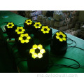 6pcs*15w rgbw 4in1 lebah mata mini rasuk